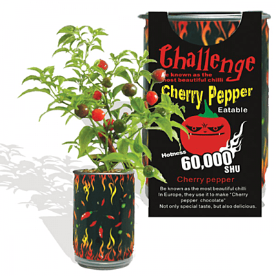 Cherry Pepper Growing Kit