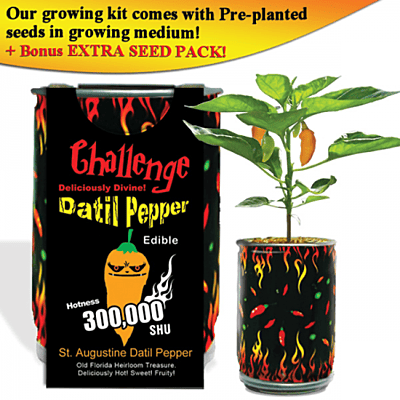 Datil Pepper Growing Kit