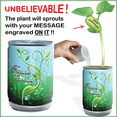 Magic Plant Treasures Dinosaurs World Growing Kit
