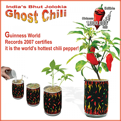 Red Ghost Chili Pepper Growing Kit