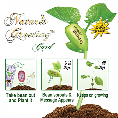Nature's Greeting Best Wishes Growing Kit