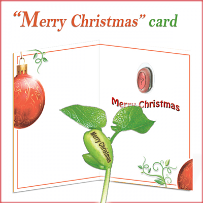 NG Card Merry Christmas