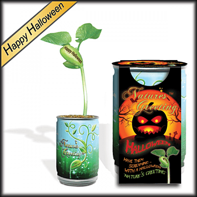 Natures Greeting grow kit "Happy Halloween" | Happy Halloween plant