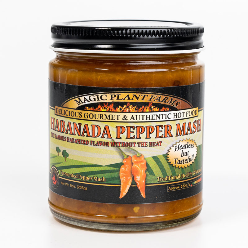 Orange Habanero Pepper Mash No Heat - HABANADA 9 oz.