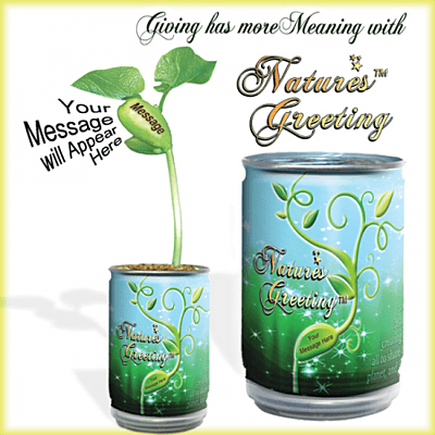 Insect World Growing Kit Magic Plant Treasures