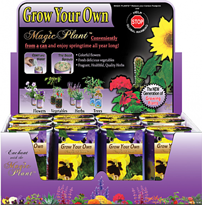 Sunflower Flowers Growing Kit