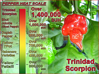 $ WT - Red Trinidad Scorpion Butch T Flakes | Crushed Trinidad Scorpion Chile Flakes (Sizes)