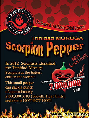 $ WT - Red Moruga Scorpion Dried Pods | Whole Moruga Scorpion Chile Pods (Sizes) $ WT - Red Moruga Scorpion Dried Pods | Whole Moruga Scorpion Chile Pods (Sizes)