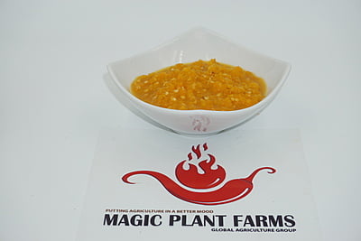 $ WT - Yellow Jamaican Scotch Bonnet Chili Pepper Mash / Puree Naturally Fermented (Sizes)