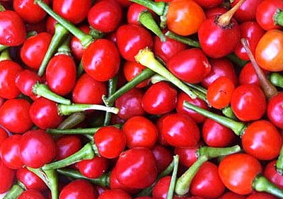 $ WT - Wiri Wiri (Hot Cherry Bomb or Guyanese Pepper) Fine Ground Chili Pepper Powder (Sizes)